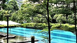 New Futura (D9), Condominium #589262401